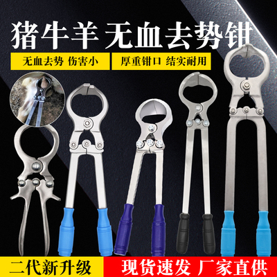速发夹牛羊用不夹钢无血去势钳去势羊钳煽羊钳公羊猪蛋钳阉割钳锈