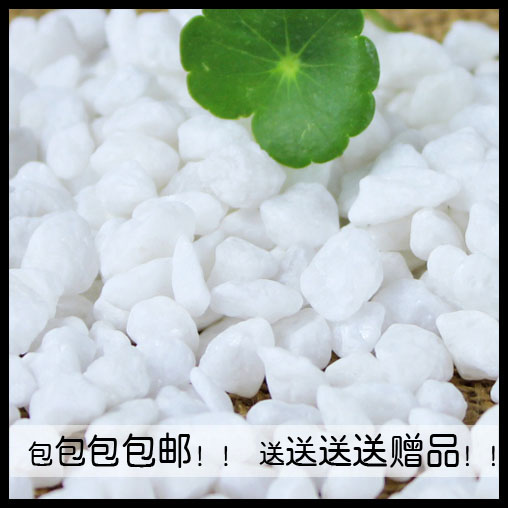 速发纯白色大中小号石子鹅卵石介艺用石水培植物媒园子石石头