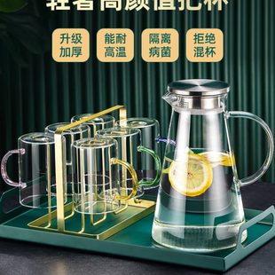 带把 手柄耐热喝水杯子客厅透明家庭彩色玻璃杯家用待客茶杯套装