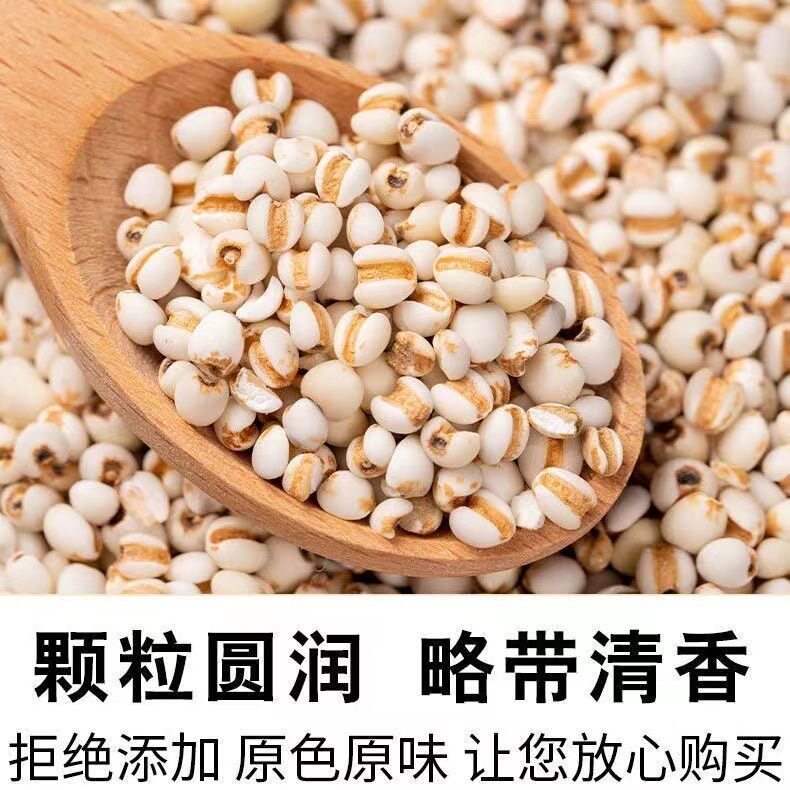 正宗薏米仁新货特级优质米仁贵州兴仁大薏仁商用散装豆浆五谷杂粮
