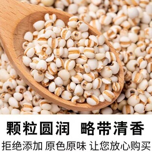 正宗薏米仁新货特级优质米仁贵州兴仁大薏仁商用散装豆浆五谷杂粮