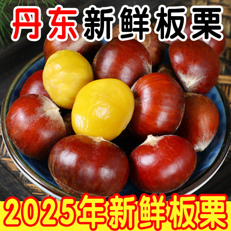 正宗丹东板栗新鲜栗子生嫩大板粟农家果园刚下树现摘板栗