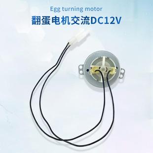 全自动迷你孵化机配件家用孵化器110V/220V翻蛋电机孵化设备配件