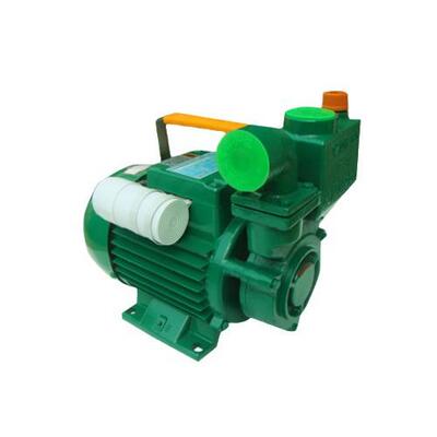 广东凌霄1ZDB-35/45/65清水管道增压循环泵抽水泵家用自吸泵220V