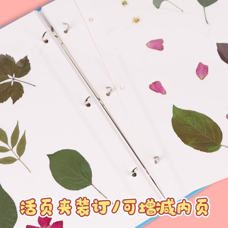 速发植物标本收集册干花册压花树叶收纳册自粘贴式覆膜相册活页装