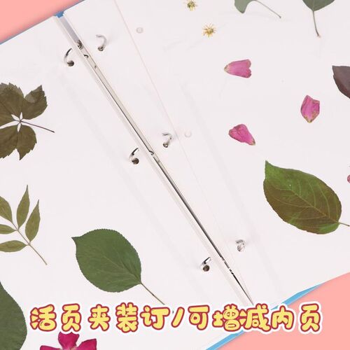 速发植物标本收集册干花册压花树叶收纳册自粘贴式覆膜相册活页装
