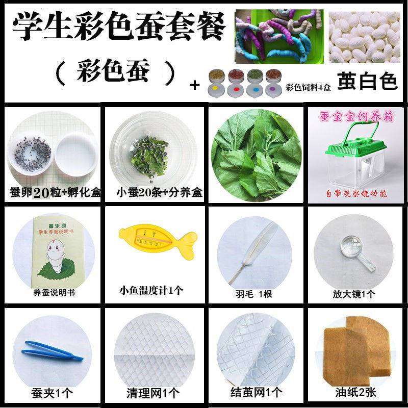 速发蚕宝宝太空舱小型房子蚕窝养殖箱培E育仓学生养蚕套装饲养盒