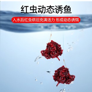 速发不粘手红虫伴侣蚯蚓活饵粘粉红虫拉饵主攻鲫料钓鱼虾拉虾滑饵