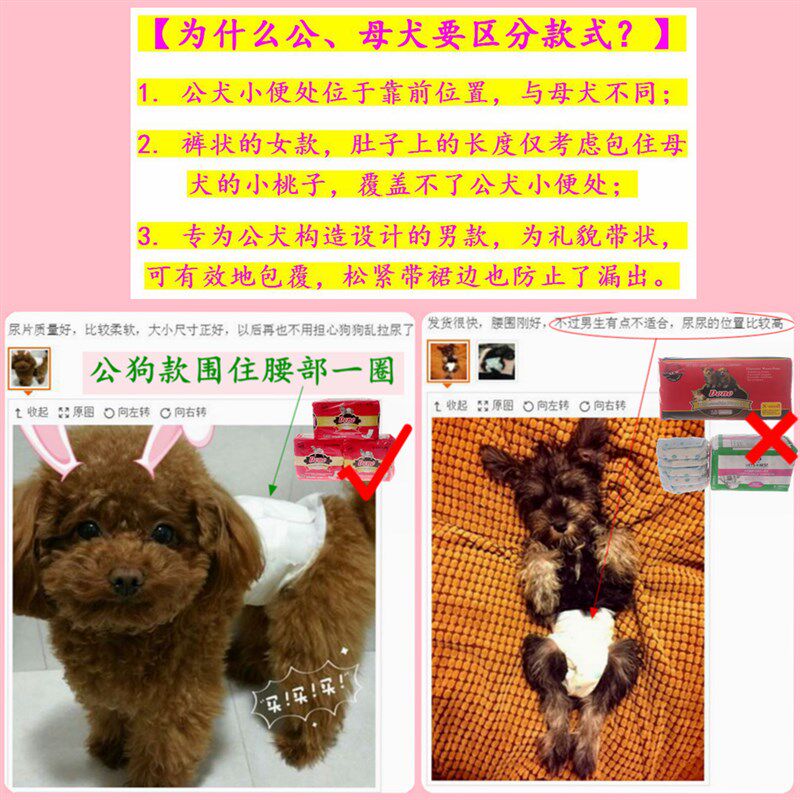 速发DOO生理裤狗公小狗姨妈巾泰迪中宠用品