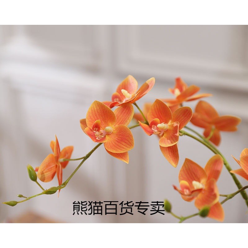 速发蝴桌兰花盆栽假花插花套装客厅玄关前台酒店蝶面花艺装饰