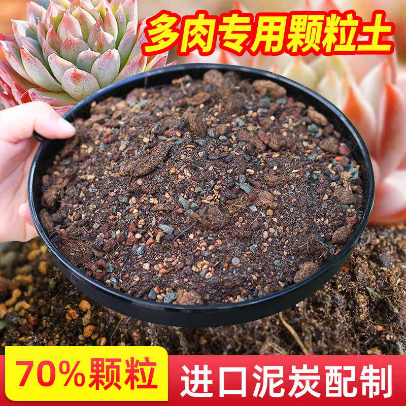 速发多肉颗粒土植玉小苗叶插营养泥炭铺物土赤面石通用型