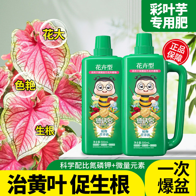 速发彩叶花肥用肥营养液花卉家用盆栽植物通料促开芋改善黄叶花肥