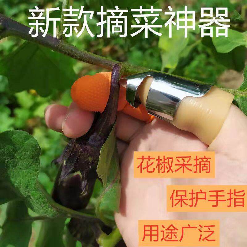 速发摘花椒神器采摘豆角茶叶专用手套指掐葡萄尖菜心农用铁指甲拇