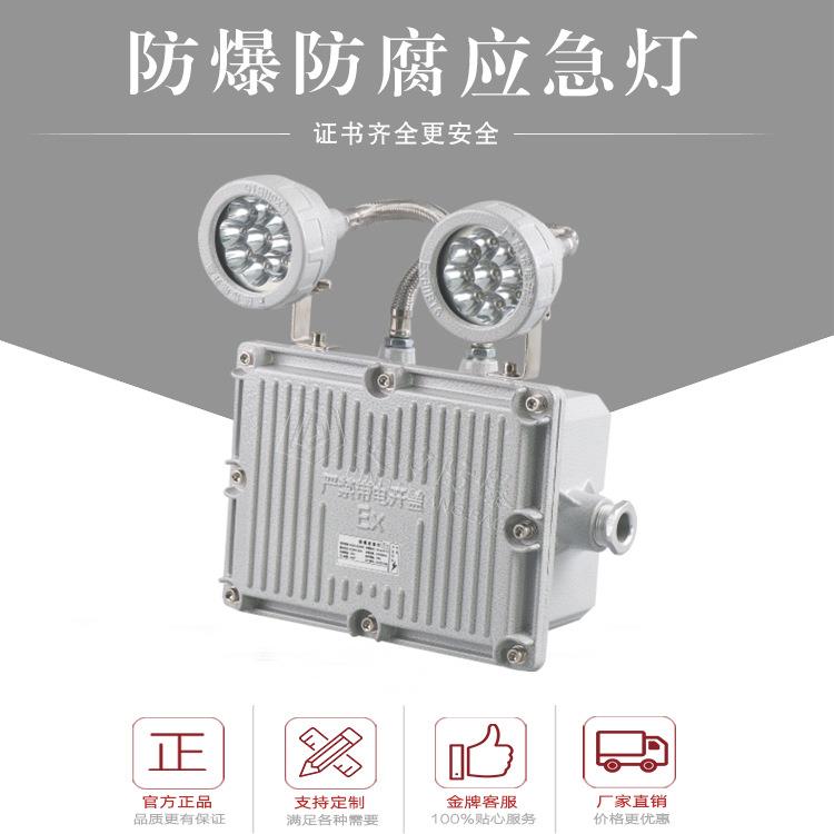LED双头防爆应急灯12V24V2×5W2×10W应急90分120分180分