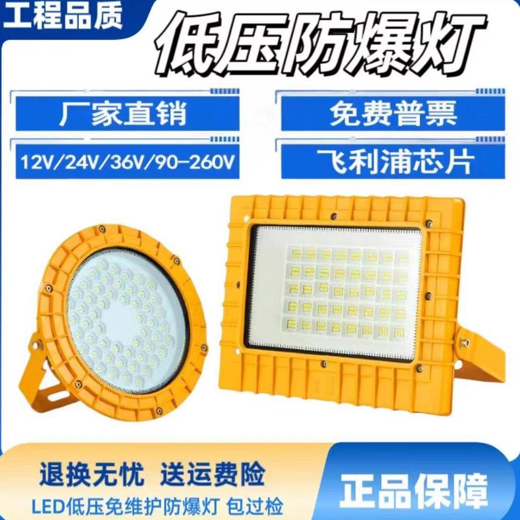低压36Vled防爆灯12V48V泛光灯24V防爆灯127V煤矿灯110V防水户外