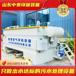 除磷净化装置污水处理设备溶气气浮机养殖/河道治理/化工气浮