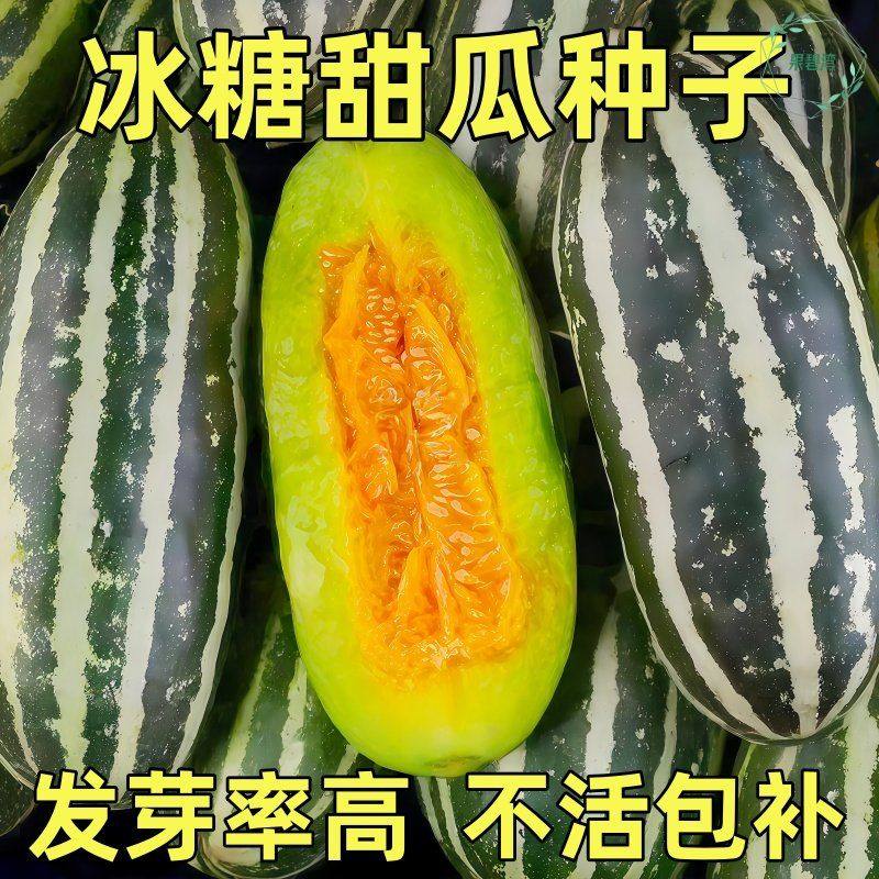冰糖子甜掉牙甜瓜种子青皮羊角蜜香瓜籽春季四季庭院阳台水果种子,鲜花速递/花卉仿真/绿植园艺,种苗/半成品盆栽,淘宝优惠券,粉丝福利购,淘宝优惠卷