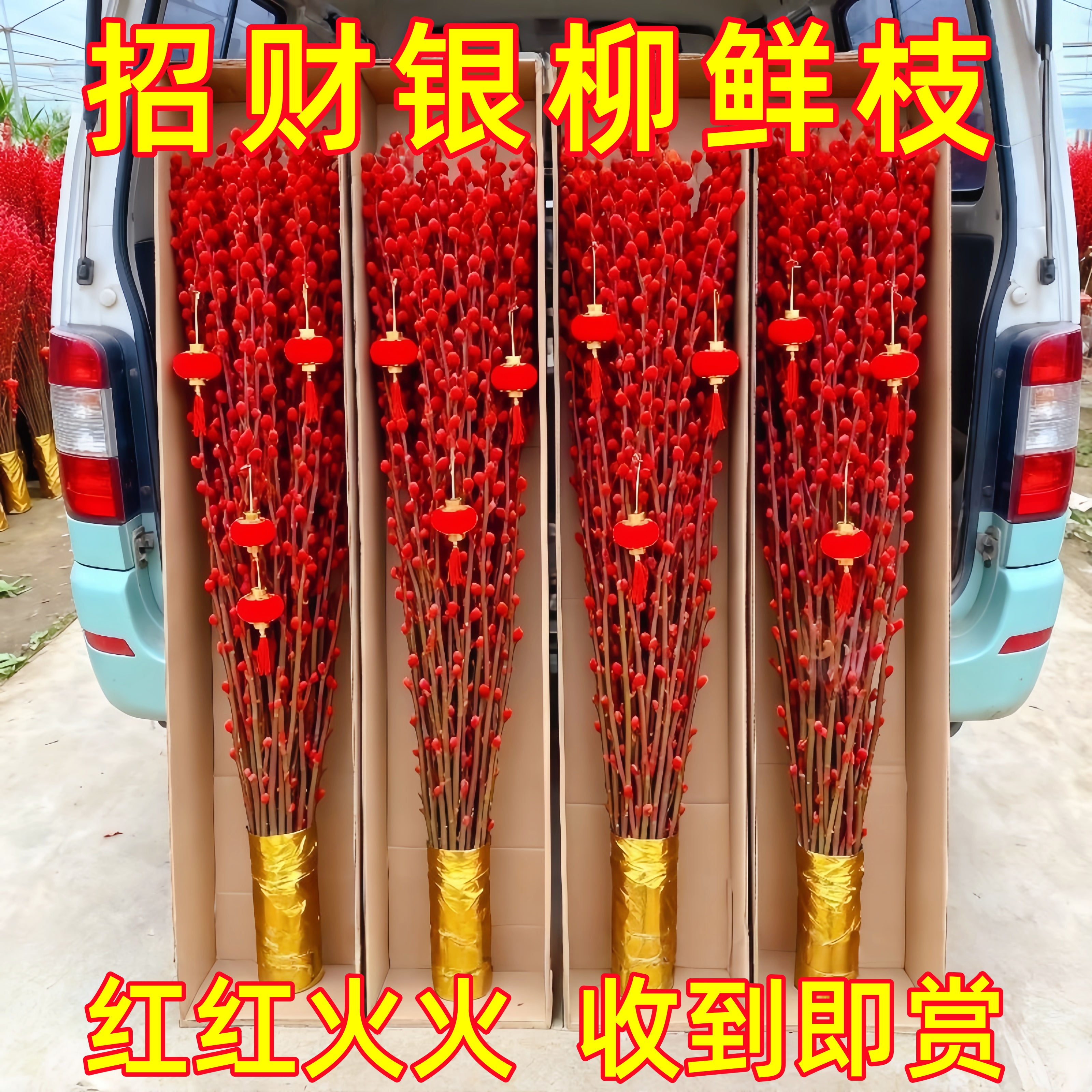 中国红银柳真花鲜枝干花摆件室内客厅鲜花绿植新年宵花卉植物装饰