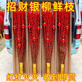 中国红银柳真花鲜枝干花摆件室内客厅鲜花绿植新年宵花卉植物装饰