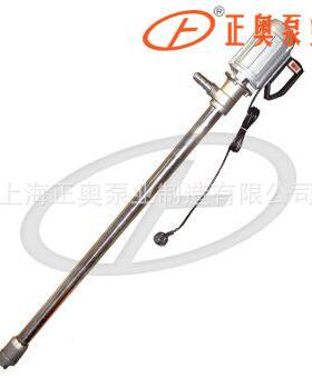 2J23105K-3普通提型电动油桶泵20V电手式抽动液泵