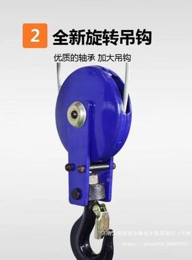 微型电动芦0305v装修吊机带跑车1.5吨家用建筑2提升机葫3820V2吨