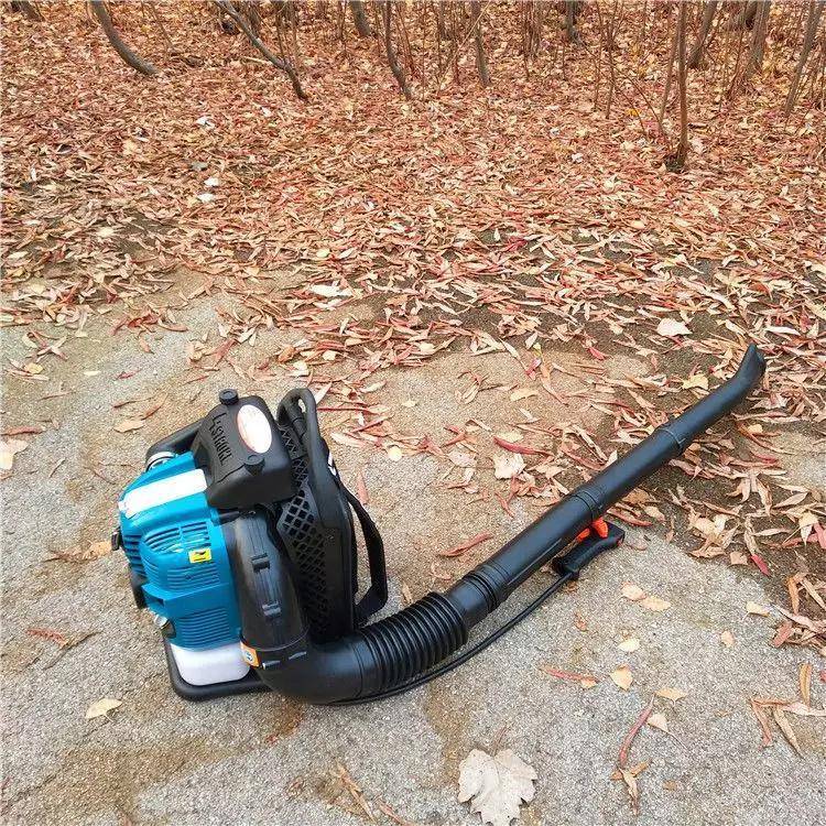 RGI市政环卫化垃圾吹带吸机汽油绿树地面叶吹吸叶机