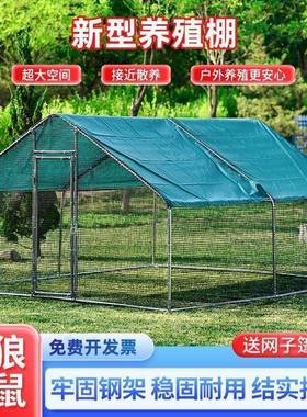 鸡鸡笼户外特大棚号家养禽殖防兔笼雨孔雀搭建鸽笼大型家NBI用鸡