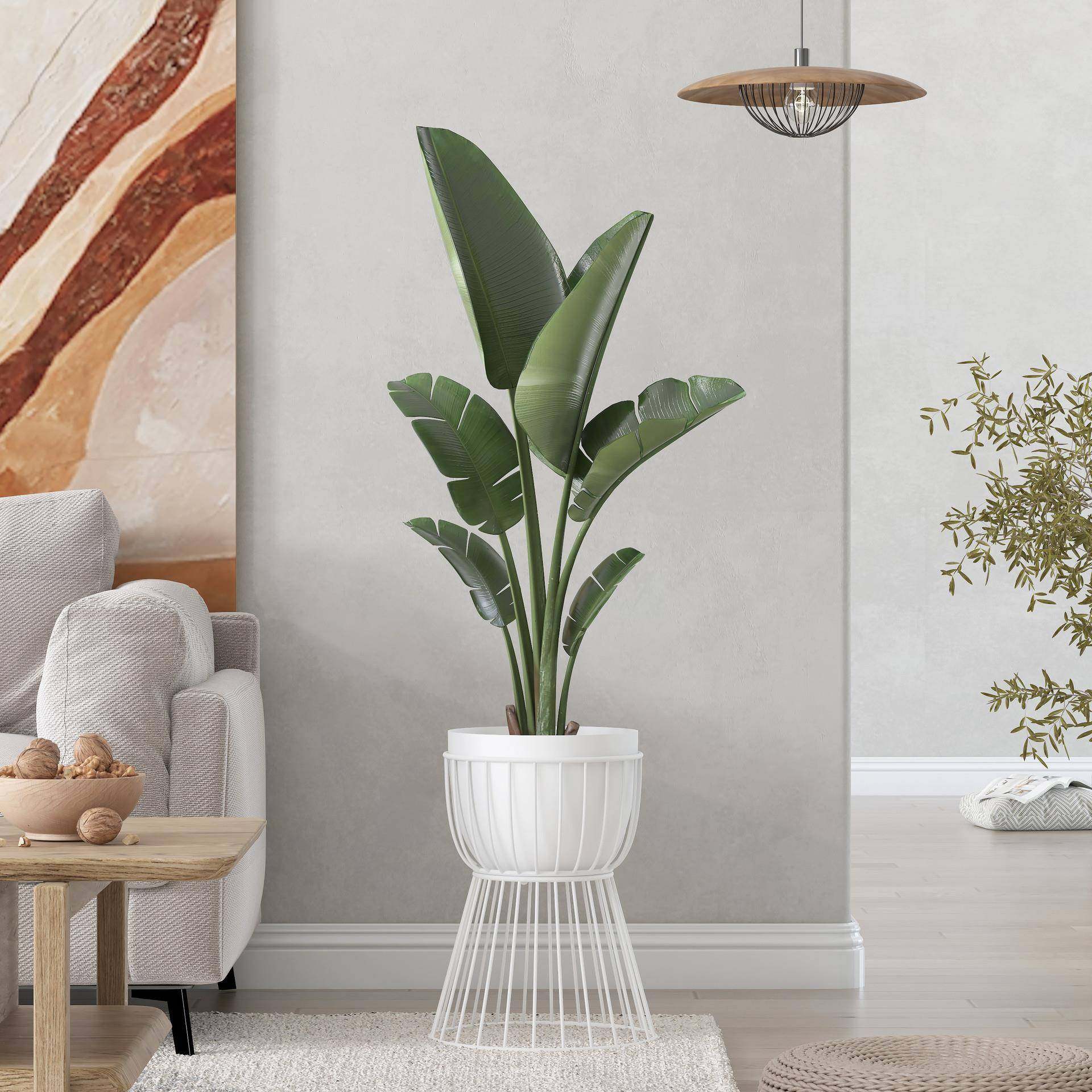 北欧简约铁艺落地式客厅花盆植物架绿萝花架子创意阳台装饰绿植架,工业油品/胶粘/化学/实验室用品,其他实验室设备,淘宝优惠券,粉丝福利购,淘宝优惠卷