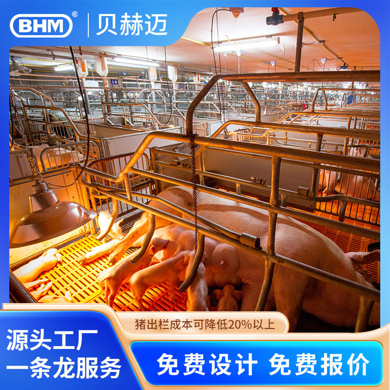 贝赫迈猪场全自动半自动液态发酵料塔料线养猪饲喂设备安装方案