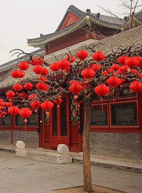 小红色纸灯笼挂饰喜庆挂件布置元旦过新年树上装饰结婚大门口院子