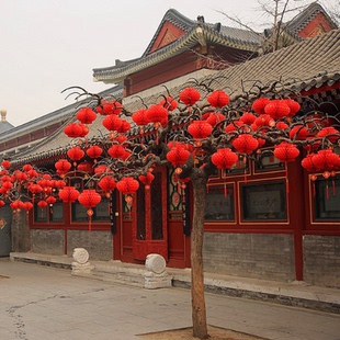 小红色纸灯笼挂饰喜庆挂件布置元旦过新年树上装饰结婚大门口院子