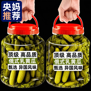 会员超市同款正宗俄式酸乳瓜酸黄瓜官方旗舰店食材汉堡配即食下饭