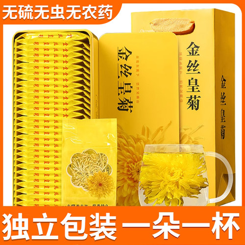 金丝皇菊大朵菊花茶黄山菊花