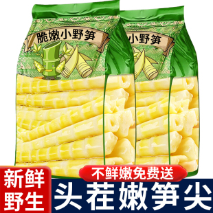 小竹笋新鲜嫩笋尖青笋野生绿笋清水笋水竹笋春笋嫩笋尖火锅食材笋