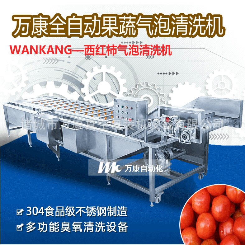 小番茄水果清洗机不锈钢臭氧水果清洗设备气泡冲浪洗果机万康新品