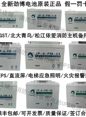 利达松江营口天成北大青鸟消防主机备用蓄电池火灾报警控制器电源