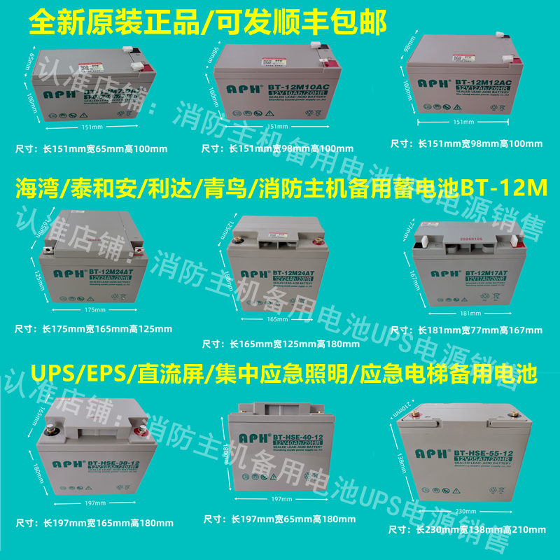 海湾GST松江天成利达泰和安消防主机EPS应急报警备用蓄电池BT-12M