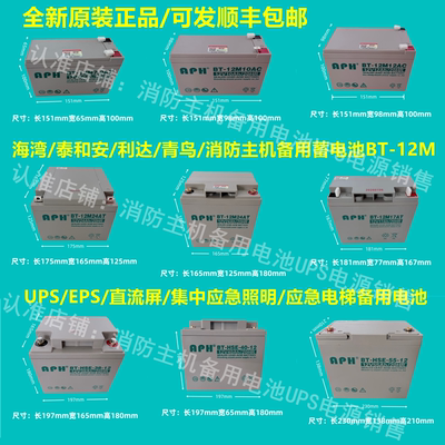 消防主机应急备用蓄电池BT-12M