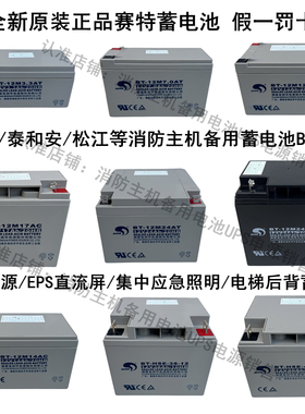 赛特海湾GST松江天成泰和安消防主机EPS应急报警备用蓄电池BT-12M