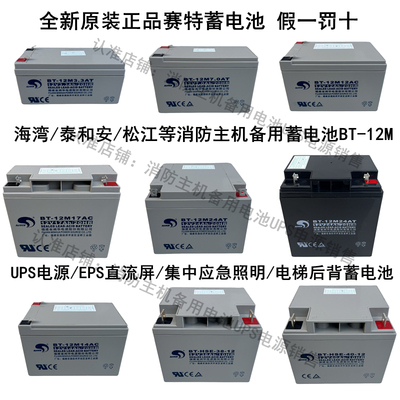 赛特蓄电池BT-12M24AT海湾消防主机12V24AH17AH12AH7AH38AH5AH55A