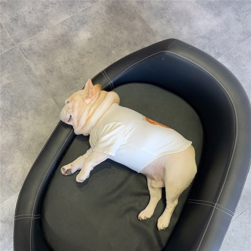 宠物狗狗春季衣服 法斗八巴哥比熊柴犬小型犬T恤 泰迪印花打底衫