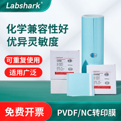 Labshark转印膜PVDF/NC蛋