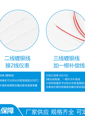 高精度Pt100热电阻 铂电阻 温度传感器探头430mm500mm 二线