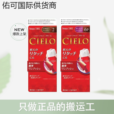 【跨境】Hoyu美源CIELO宣若遮白发自然暖棕色80g染发剂