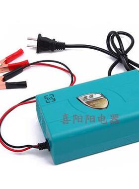 摩托车电瓶电动车汽车蓄电池充电器12V7AH12AH20AH45AH60A充电器