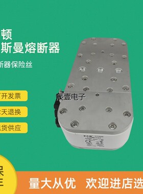 快速熔断器保险170M7164 170M7165 170M7166 170M7167
