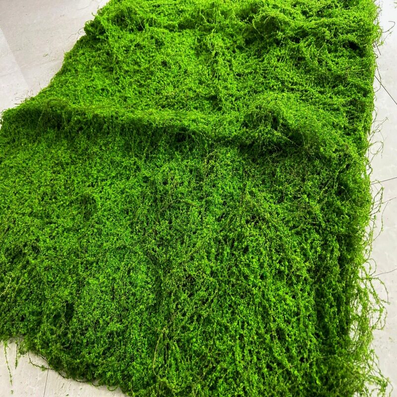 仿真苔藓青苔草坪地毯草皮雨淋缸植物假山石头园林室内外地面铺面