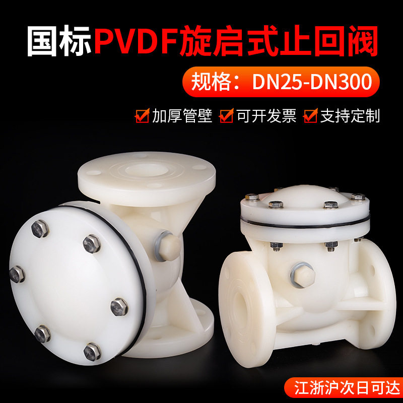 戎生PVDF旋启式法兰止回阀 化工塑料管卧式水平单向阀水管逆止阀