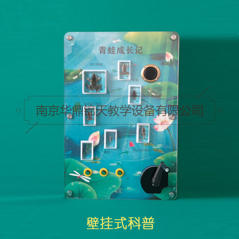 青蛙成长记 生产厂家 生物科普 科技馆 科学实验箱理化生可定制