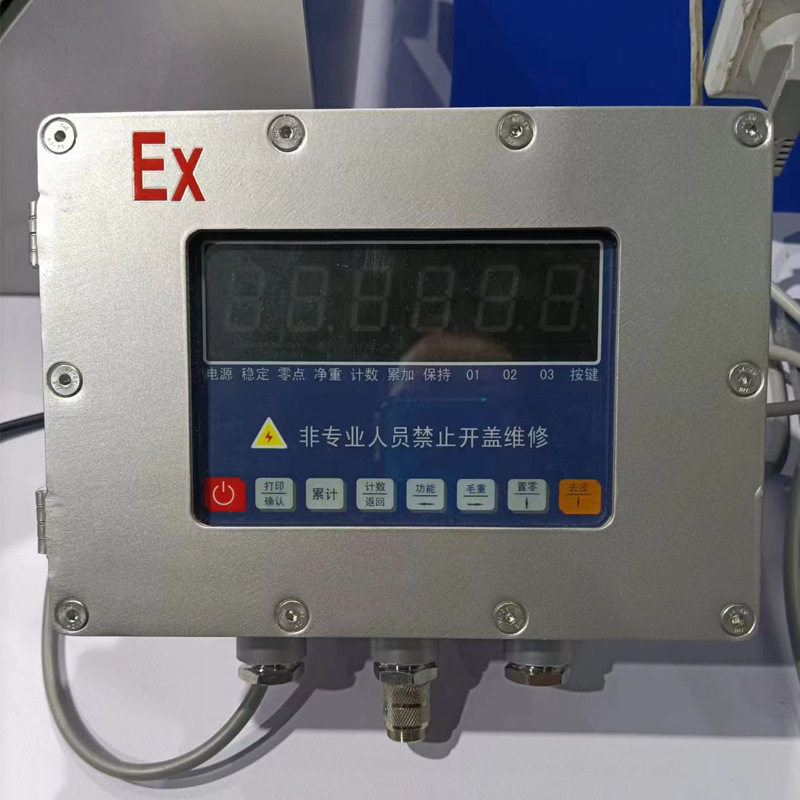 50kg/5g落地式工业防爆电子台秤